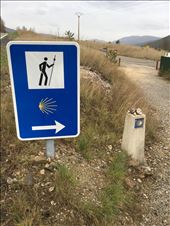 Many signs to follow.: by dianne_peter, Views[127]