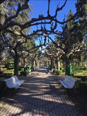 Gardens in Leon: by dianne_peter, Views[91]