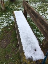 Snow on seat: by dianne_peter, Views[132]