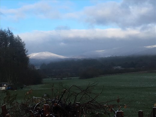 Cold start to the walk.