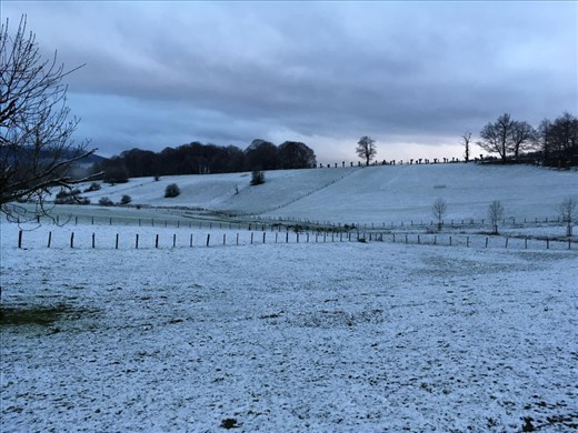 Snow covered fields.
