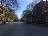 Deserted streets.: by dianne_peter, Views[138]