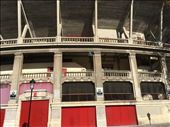 Bull ring! : by dianne_peter, Views[154]