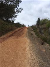 Oh that hill, 2 hours of hard uphill climbing.: by dianne_peter, Views[84]