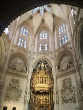 by dianne_peter, Views[124]