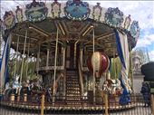 Carousel : by dianne_peter, Views[130]
