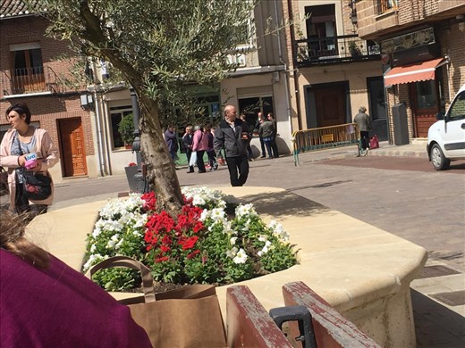 Centre of town waiting for a taxi.