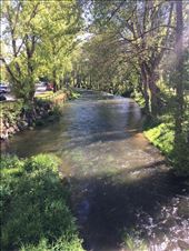 River Sarria : by dianne_peter, Views[104]