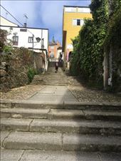 So many steps!: by dianne_peter, Views[132]