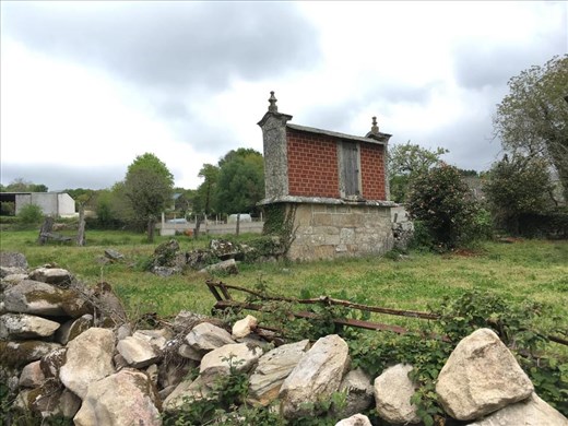 Horreos for storing grain.