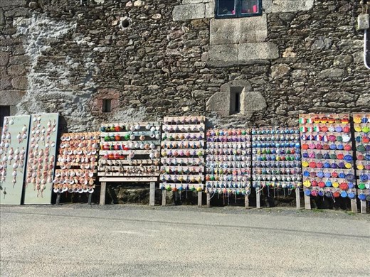 Lots of Camino Shells.