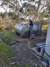 Mark transferring whey: by dianne_peter, Views[105]