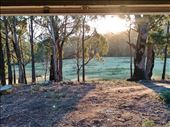 From our van door on Marks property.: by dianne_peter, Views[113]