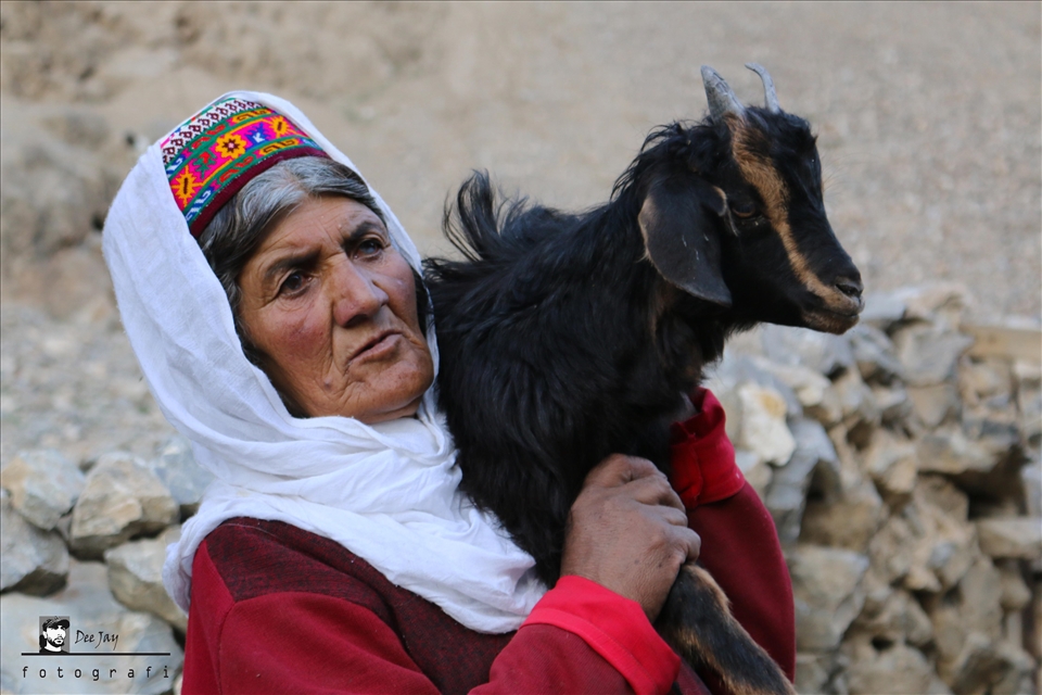 Wakhi/Pamirian Shepherdess 