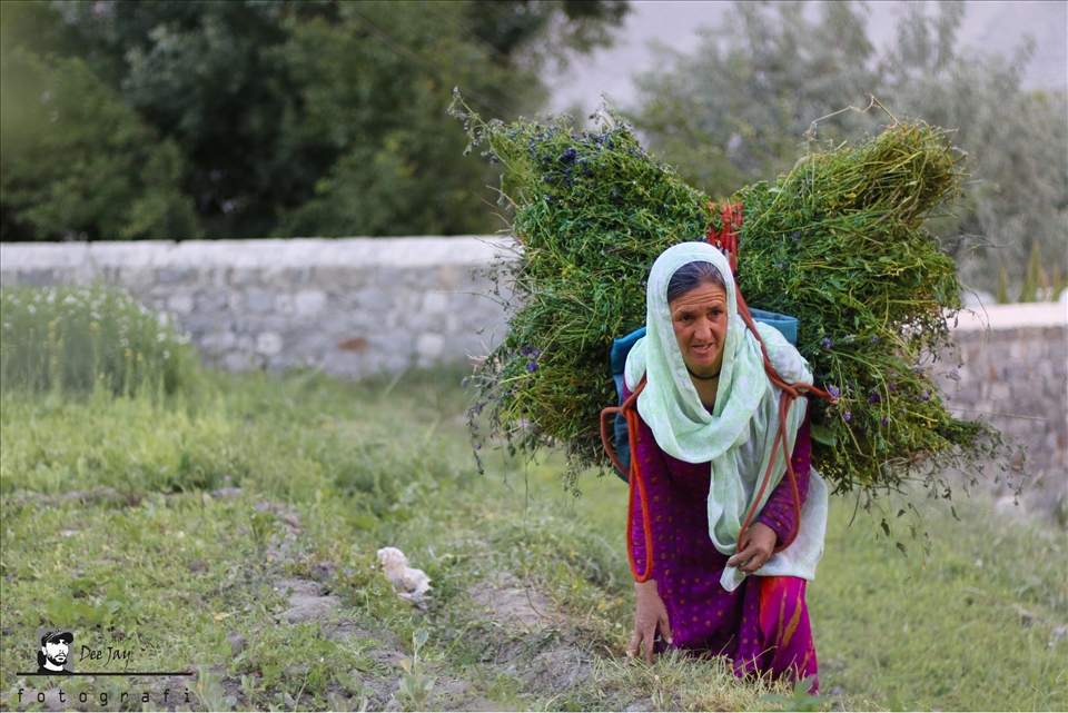 A Wakhi/Pamirian lady work in Gulmit Gojal Hunza Pakistan