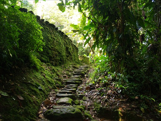 The Lost City of Teyuna - Colombia