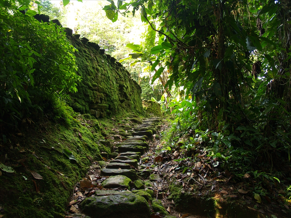 The Lost City of Teyuna - Colombia