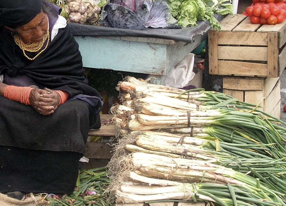Melancholia. A old woman selling vegetables in Otavalo´s market.