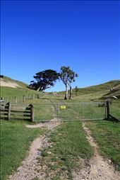 by difference, Views[344]