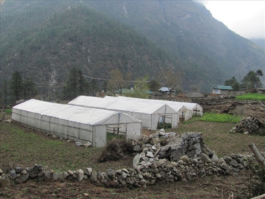 This small Sherpa village is located off the main trekking trail outside of Phakding. It is vastly less prosperous due to a distinct lack of tourist generated revenue even though its agriculture provides crops for tourist consumption.
