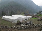 This small Sherpa village is located off the main trekking trail outside of Phakding. It is vastly less prosperous due to a distinct lack of tourist generated revenue even though its agriculture provides crops for tourist consumption.: by digitalschist, Views[460]