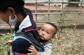 A young member of the Black H'mong tribe in Northern Vietnam looks on as his mother carries him on her back during their daily five hour trek from the town of Sapa to their home village.: by dillan, Views[481]