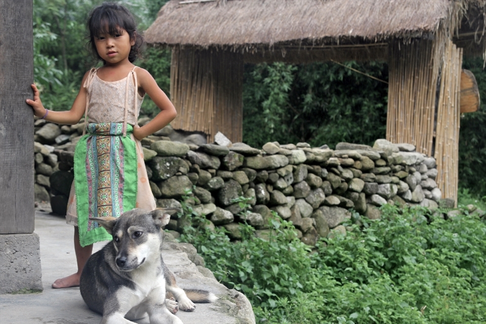 A young Black H'mong girl waits patiently with one of her three dogs while her parents prepare the evening meal.
