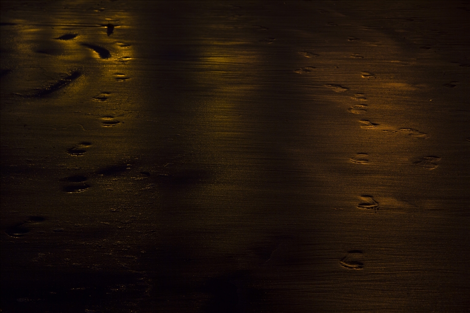 Street lights reveal footprints on the beach of Santa Cruz, the most populated i