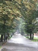 Park in Krakow: by dimanamandy, Views[134]