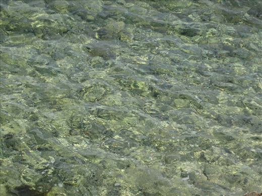 The beautiful clear water of the Adriatic...