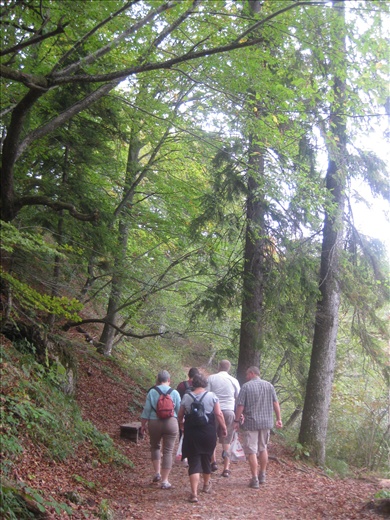 Walking through Plitvice Lakes National Park