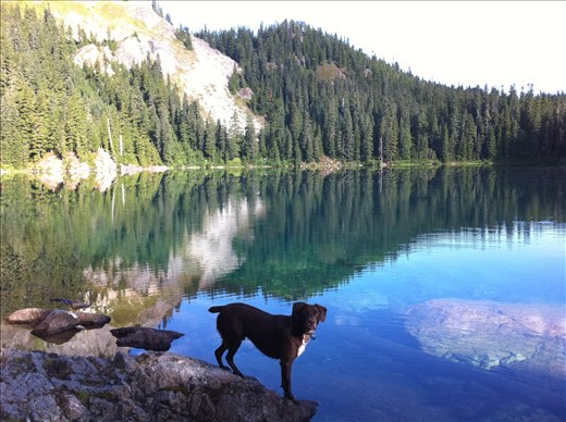 Tucker at Mirror Lake