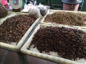 Insects at the Market: by dinagosse, Views[351]