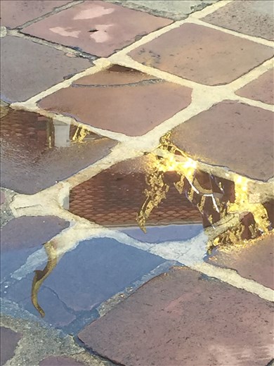 Reflections at Wat Po
