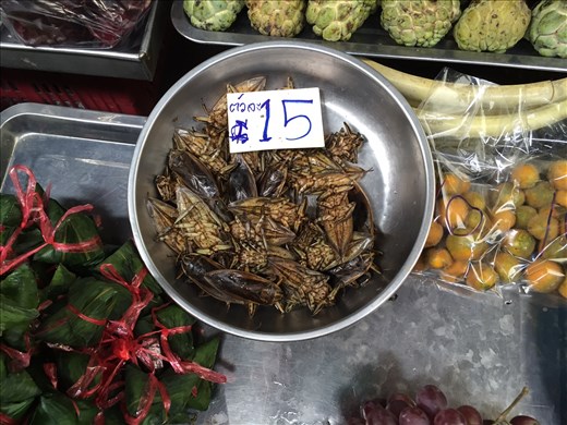 Roaches for sale at the Market