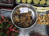 Roaches for sale at the Market: by dinagosse, Views[333]