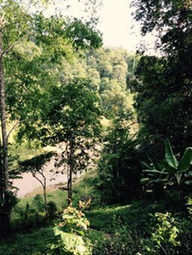 View from our front entrance!  The Lang River is below.  