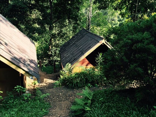 Path to our bungalow at Cave Lodge