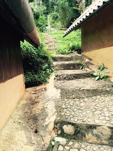 Path up to the common area