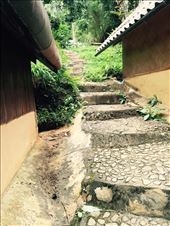 Path up to the common area: by dinagosse, Views[423]