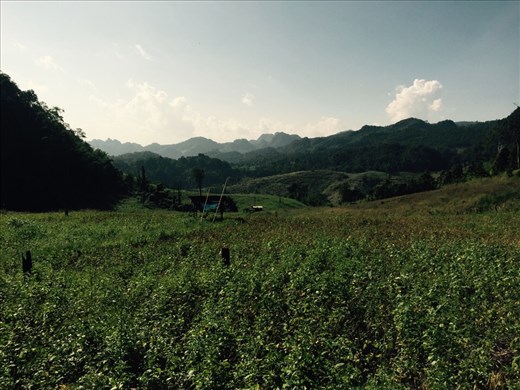 Viewpoint on our hike. An ultra marathon happens in these hills in October!!