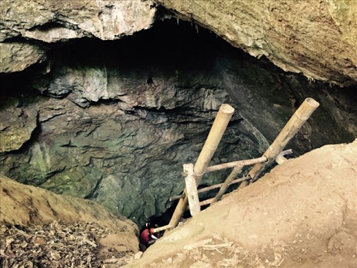Bamboo ladder leading down into Christmas Cave. Dina throws in the towel here. Aaron goes on ahead. 
