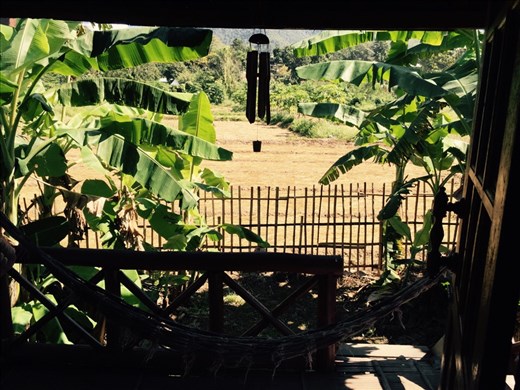 View from our hut in Pai