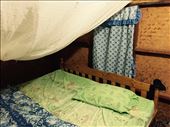 Our luxurious hut in Pai. Complete with mosquito net. : by dinagosse, Views[498]