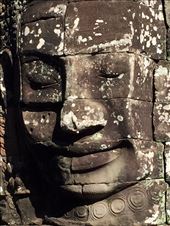 by dinagosse, Views[247]