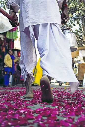 An Indian wedding ceremony through the streets of Pushkar
