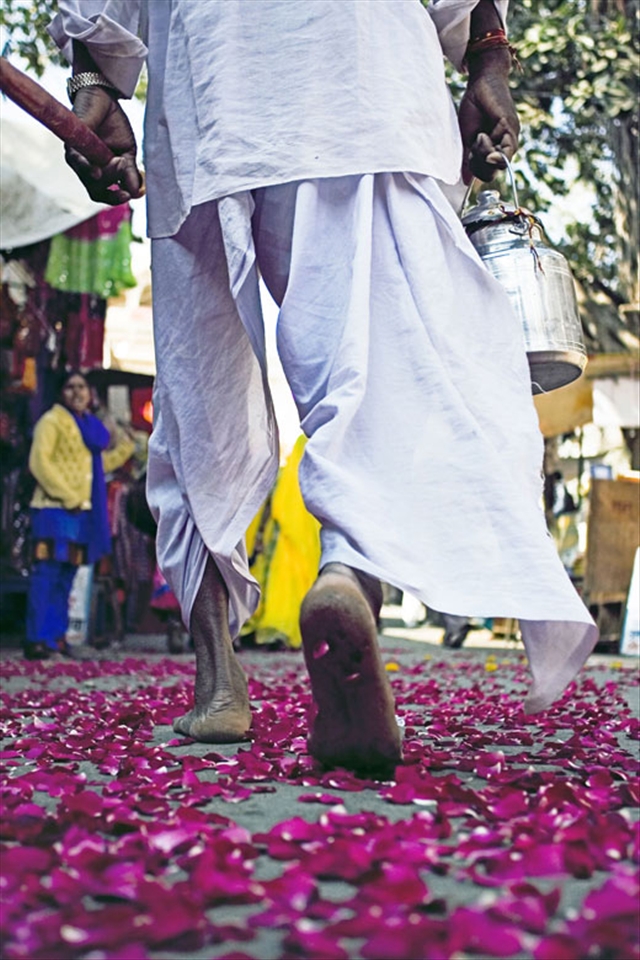 An Indian wedding ceremony through the streets of Pushkar
