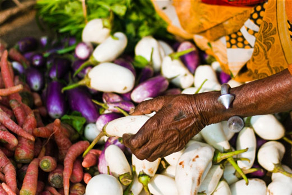 The hands of a lady at the market of Jaipur

