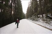 A man walking on a snowy road to Morskie Oko.: by dinowski, Views[497]