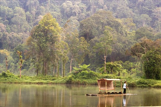 The daily activity of villagers in Sukabumi, Indonesia.